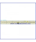 Regla  3 x 30 cmC3857
